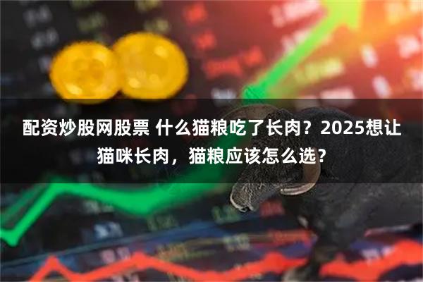 配资炒股网股票 什么猫粮吃了长肉？2025想让猫咪长肉，猫粮应该怎么选？