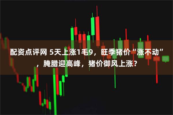 配资点评网 5天上涨1毛9，旺季猪价“涨不动”，腌腊迎高峰，猪价御风上涨？